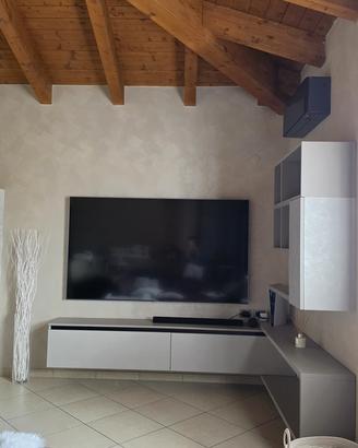 Mobile porta tv