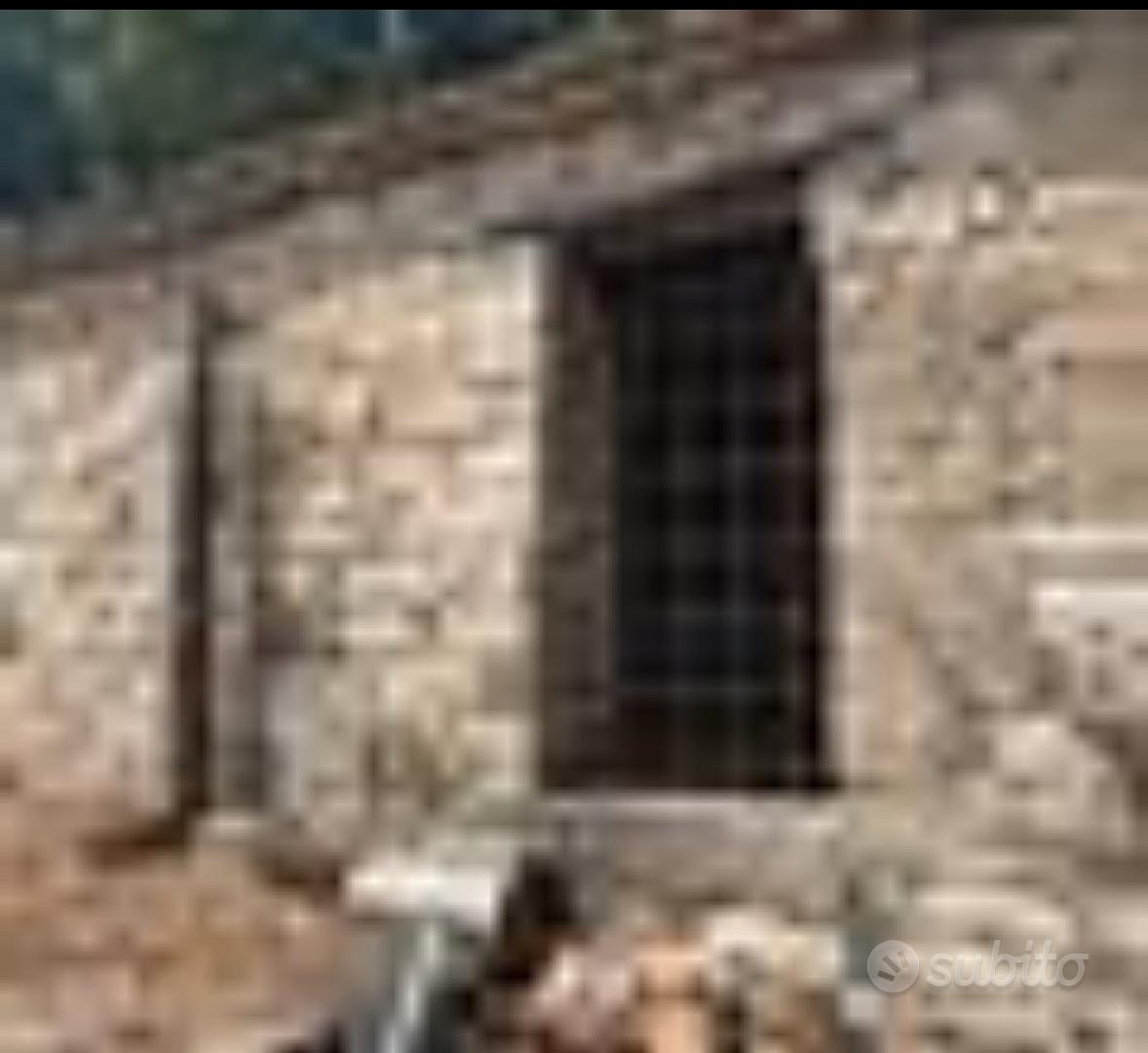 Rustico con terreno - Vista 4