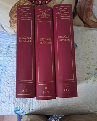 libri treccani vocabolario