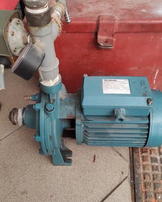 Motore Calpeda 075 hp