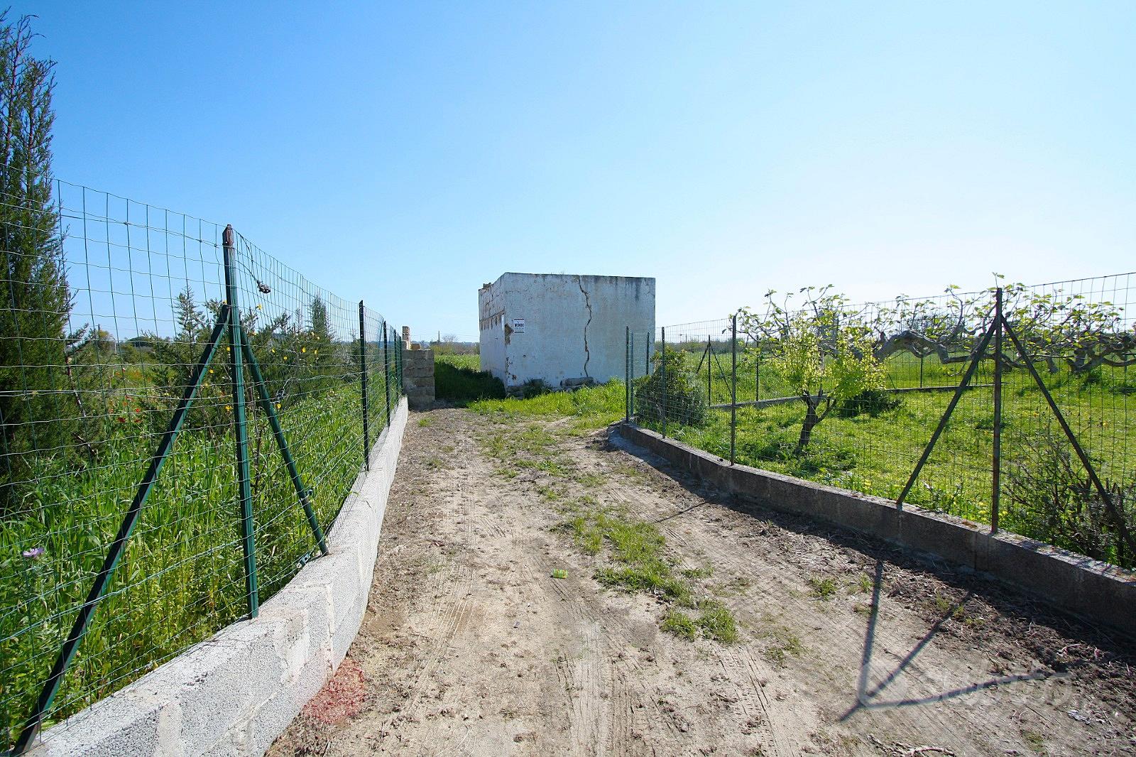 Terreno con rudere - Vista 5