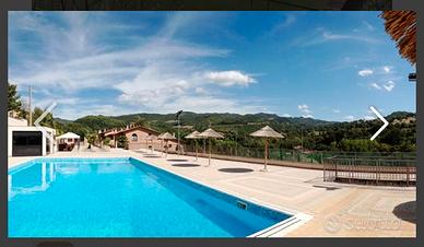 LAST MINUTE16-23 Agosto2025 Assisi (PG) Carp.Liv.C