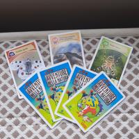 
Coop Card Cards Avventure lagambiente figurine 