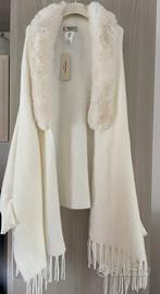 Mantella “Camomilla”