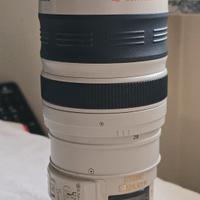 Canon EF 28-300mm f/3.5-5.6 L IS USM