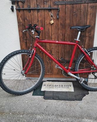 Mountain bike
