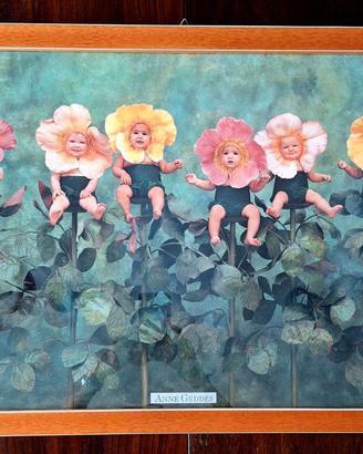 Poster Anne Geddes – Cornice in legno con vetro