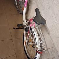 2 bici 