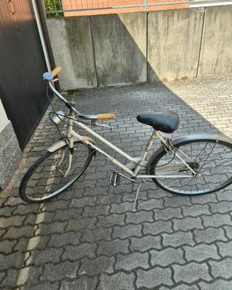 bicicletta donna
