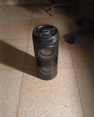 Cassa Wireless Bontempi.