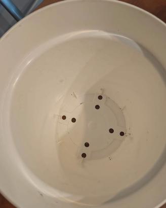 Vasi per piante bianchi in plastica