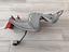 Immagine 2