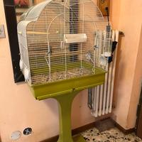 Gabbia per pappagalli