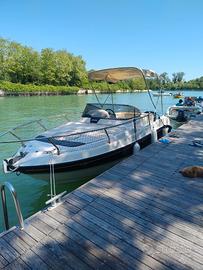 barca walk around Brube squalus