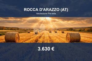 Immobile in asta di 11478 m² a Rocca d'Arazzo