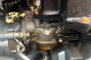 Carburatore evinrude