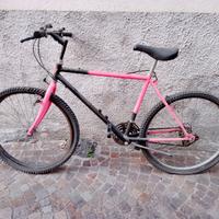 bicicletta mountain bike 20 EURO