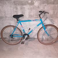 2 biciclette monta bike, 80euro Luna