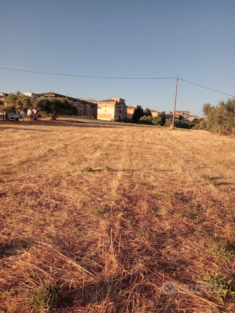 Terreno agricolo -Uliveto e Frutteto - Vista 3