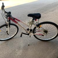 Bici da donna