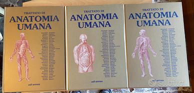 Trattato di Anatomia Umana Anastasi