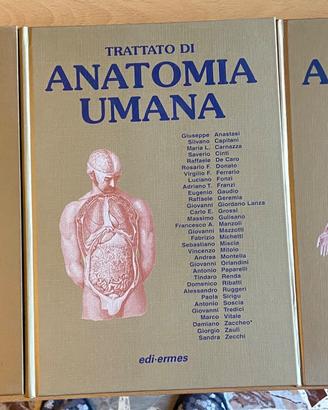 Trattato di Anatomia Umana Anastasi