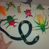 ANIMALI MODELLI VARI