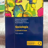 Sociologia I concetti di base