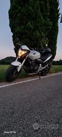 Honda Hornet CB600F 2011