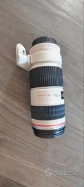Canon EF 70-200mm F/4L IS USM + Anello di montaggi