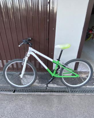 Bicicletta Mountain bike Alpina nr 24