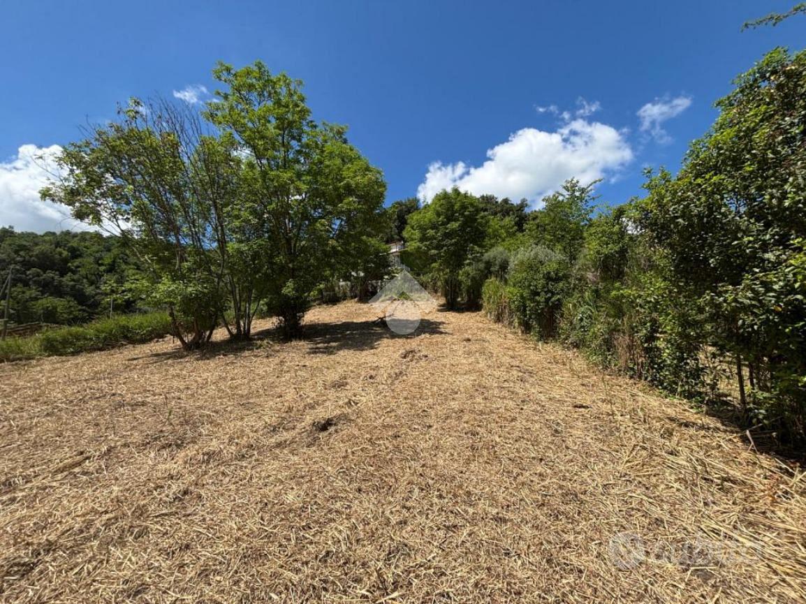 TER. RESIDENZIALE A CASTELNUOVO DI PORTO - Altro