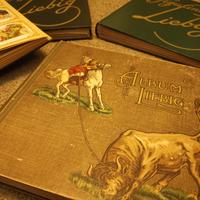 figurine liebig con album storici