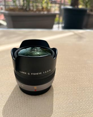 Panasonic 8mm fisheye