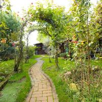 VILLA A SCHIERA A FORLÌ