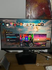 Monitor 24 qhd 180hz
