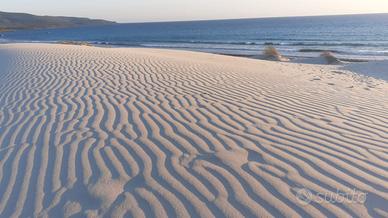 Sardegna low cost