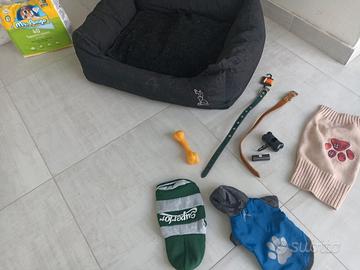 set accessori per cani
