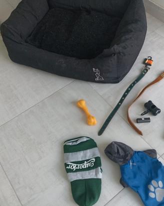 set accessori per cani