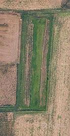 Terreno agricolo