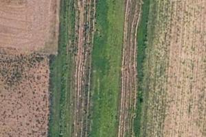 Terreno agricolo