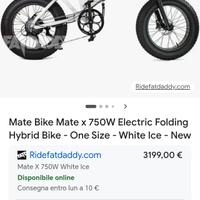Bici elettrica Mate