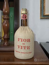 Fior di Vite grappa stravecchia vintage sigillata
