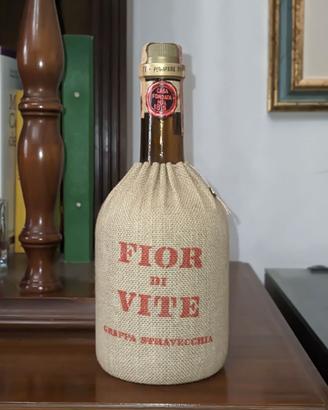 Fior di Vite grappa stravecchia vintage sigillata