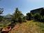 Immagine 21