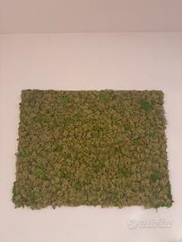 Quadro muschio stabilizzato
