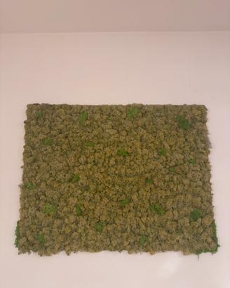 Quadro muschio stabilizzato