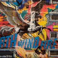 Vetro Flipper Earth, Wind, Fire