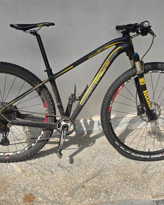 MTB front 29 Lombardo corse