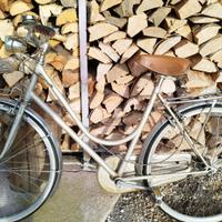 bicicletta Stella Veneta da donna 